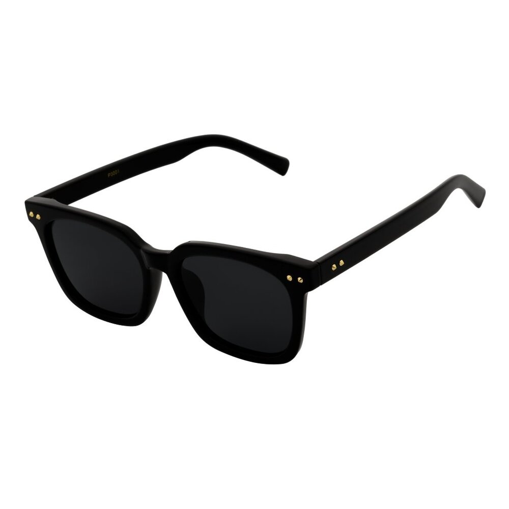 Polarized Classic Retro Horn Rimmed Gold Accents Gloss Black Smoke Tint Lens